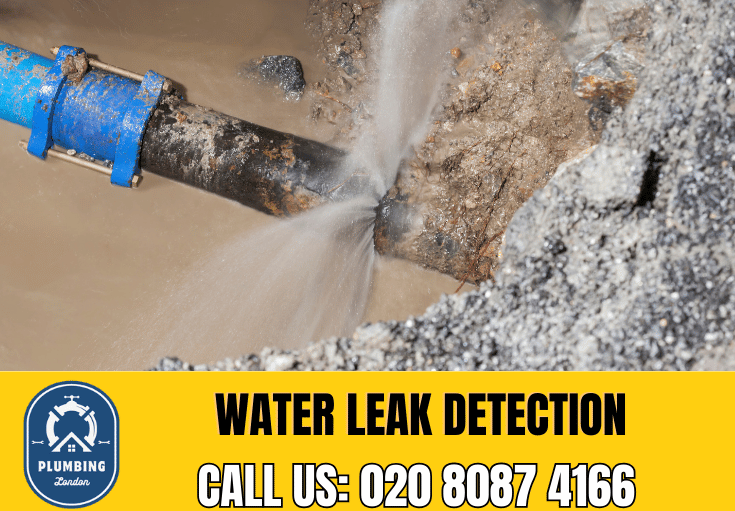leak detection Enfield